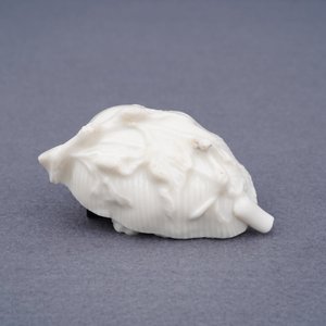A Chinese Dehua blanc de Chine 'lobster on artemisia leaf' water dropper, Kangxi — photo 11