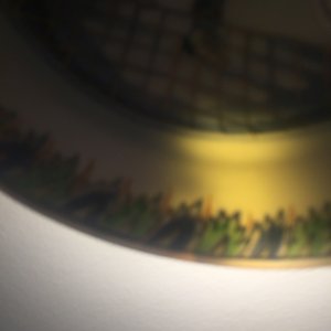 A Chinese doucai "South Sea bubble" plate, Yongzheng — photo 9