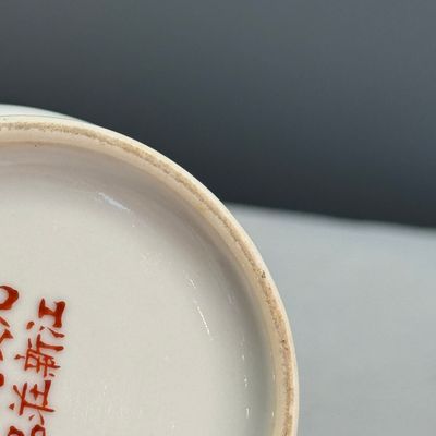 A Chinese famille rose 'Bird Among Flowers and Rockwork' rouleau vase — foto 12
