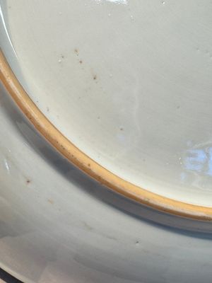 A Chinese famille rose 'Birds among Blossoming Branches' dish, Yongzheng — 照片 10