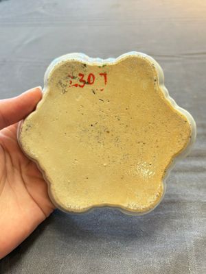A Chinese famille rose 'card-players' plate, a pattipan and a grisaille saucer, Qianlong — 照片 8