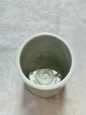 A Chinese famille rose 'Chicken' cup and a blue, white, and copper-red 'Li Tieguai' brush pot, Qianlong mark, 20th C. — foto 23