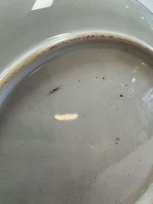 A Chinese famille rose 'Doctor's Visit' plate after Cornelis Pronk, Qianlong — photo 11
