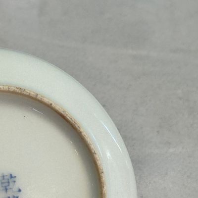 A Chinese famille rose 'Flowers and Poem' brush washer — photo 11