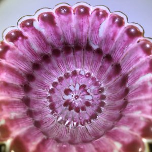 A Chinese famille rose lotus-shaped relief-decorated cup and saucer, Yongzheng — 照片 24