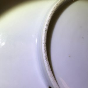 A Chinese famille rose plate with figures in a garden, Republic, 20th C. — 照片 13