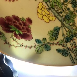 A Chinese famille rose plate with Johanneum mark, ex-coll. August the Strong, Yongzheng — 照片 5