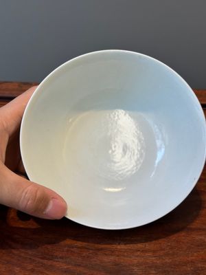 A Chinese famille rose 'plum blossom' bowl, Shen De Tang Zhi 慎德堂製 mark, 19/20th C. — photo 5