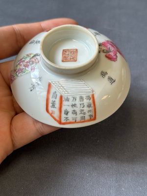 A Chinese famille rose 'Wu Shuang Pu' bowl with cover, a saucer and four covers, Daoguang/Xianfeng — 照片 37