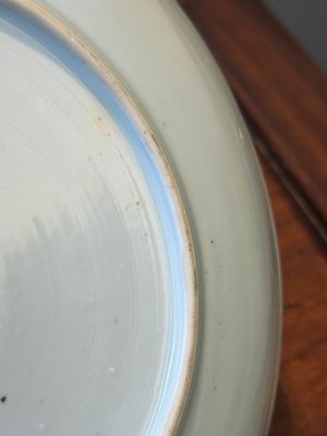 A Chinese famille verte café-au-lait ground plate and a monochrome white plate, Kangxi — photo 15