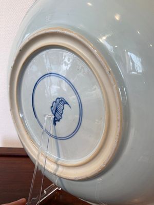 A Chinese famille verte 'carps’ dish, Kangxi — photo 8