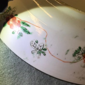A Chinese famille verte plate with a lady and her cat, Kangxi — photo 8