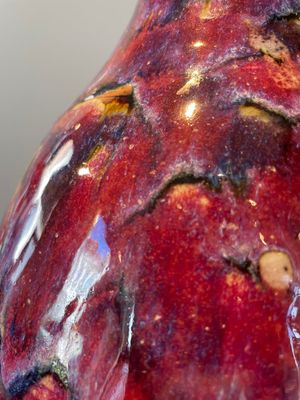 A Chinese flambé-glazed bottle vase, 19th C. — 照片 5