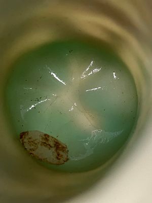 A Chinese four-coloured Peking glass brush pot, Qianlong — 照片 12