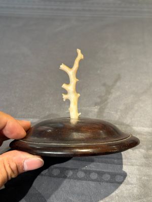 A Chinese ge-type censer with wooden stand and cover, Qianlong — foto 17