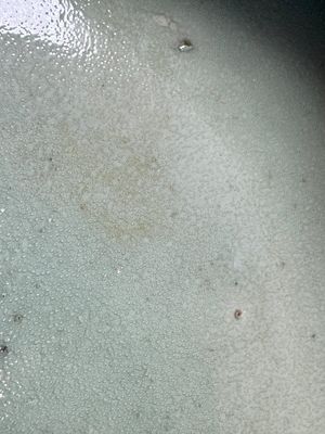 A Chinese green-glazed brush washer, 18th C. — photo 8