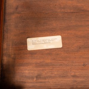 A Chinese huanghuali wooden two-drawer recessed-leg table, 19/20th C. — 照片 9