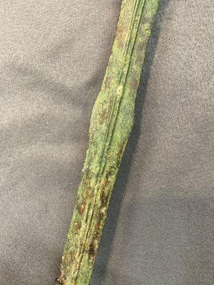 A Chinese inscribed bronze sword, Warring States Period or Han, ca. 3rd C. b.C. — photo 4
