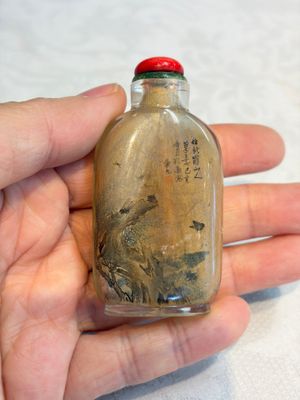 A Chinese inside-painted glass snuff bottle with insects, signed Bi Rongjiu 畢榮九, dated 1899 — photo 1