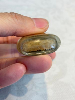 A Chinese inside-painted glass snuff bottle with insects, signed Bi Rongjiu 畢榮九, dated 1899 — photo 6