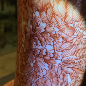 A Chinese iron red 'dragon and phoenix' bottle vase, 19th C. — 照片 13