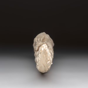 A Chinese ivory carving depicting a Luohan and a dragon, 'Da Ming 大明' mark, 19/20th C. — foto 8
