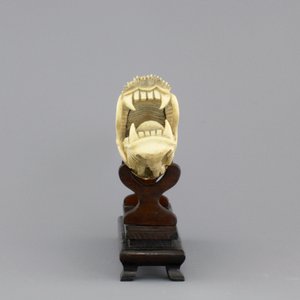 A Chinese ivory carving of a dragon on wooden stand, early 20th C. — 照片 3