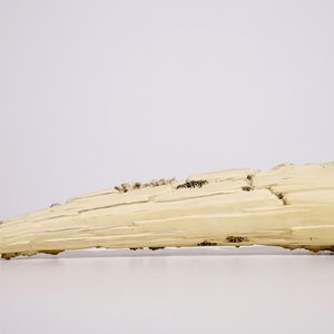 A Chinese ivory group with musicians surrounding a phoenix, early 20th C. — 照片 6