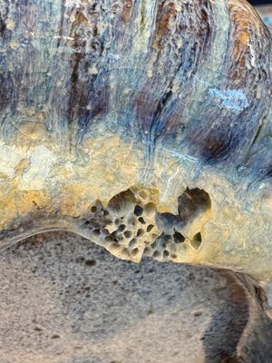 A Chinese Jun-type flambé-glazed tripod censer and a Junyao blue-glazed bowl, 19/20th C. — photo 24
