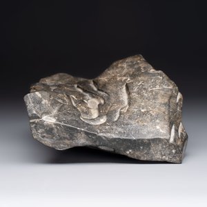 A Chinese Lingbi stone scholar's rock on wooden stand, Yun Tai 雲台 mark, 19/20th C. — photo 10