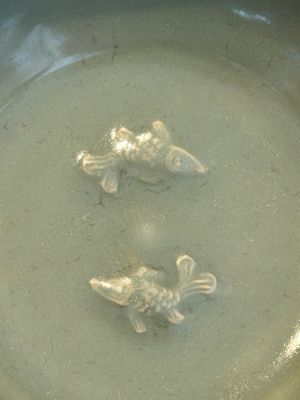 A Chinese Longquan celadon 'twin fish' plate, Yuan/Ming — photo 2