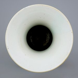 A Chinese mixed qianjiang cai and famille rose vase, 19/20th C. — 照片 5