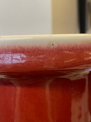A Chinese monochrome copper-red rouleau vase, 18/19th C. — 照片 11