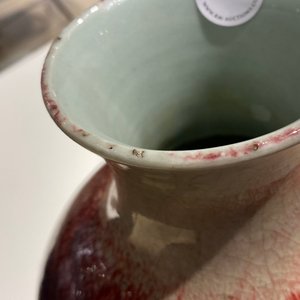 A Chinese monochrome peachbloom glazed vase, 18/19th C. — 照片 12