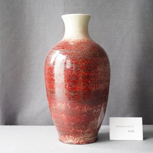 A Chinese monochrome peachbloom glazed vase, 18/19th C. — 照片 8
