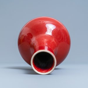 A Chinese monochrome sang de boeuf-glazed bottle vase, 19th C. — 照片 5
