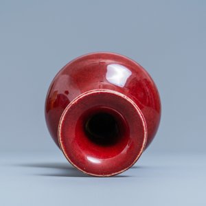 A Chinese monochrome sang de boeuf-glazed bottle vase, 19th C. — 照片 5