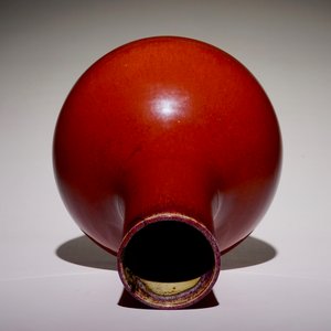 A Chinese monochrome sang-de-boeuf-glazed tianqiu ping bottle vase, 19th C. — 照片 2