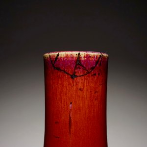 A Chinese monochrome sang-de-boeuf-glazed tianqiu ping bottle vase, 19th C. — 照片 4