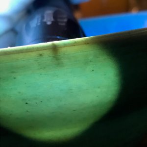 A Chinese monochrome turquoise-glazed bowl, Kangxi — photo 9