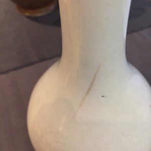 A Chinese monochrome white-glazed anhua dragon vase, 18/19th C. — photo 12