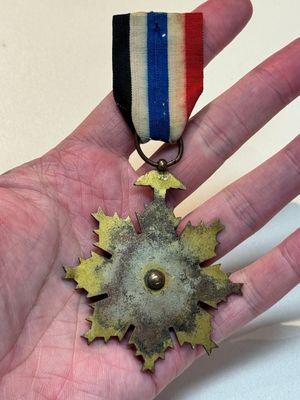 A Chinese 'Order of Extreme Bravery' medal (Order of the Golden Lion), inscribed Chi Dan 赤膽, Republic — photo 7