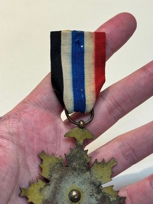 A Chinese 'Order of Extreme Bravery' medal (Order of the Golden Lion), inscribed Chi Dan 赤膽, Republic — photo 10