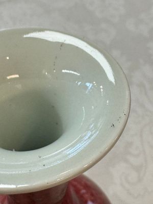 A Chinese peachbloom-glazed vase, 21st C. — photo 9