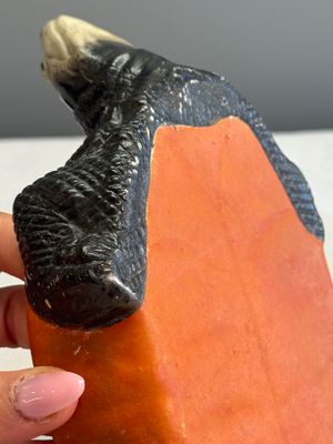 A Chinese polychrome-glazed turtle-shaped tureen and cover — photo 17