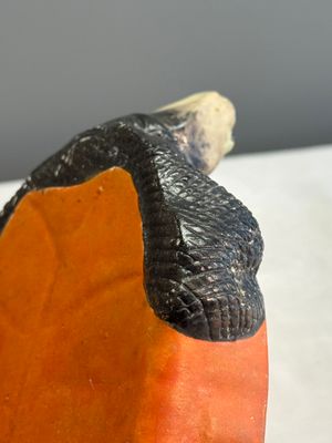 A Chinese polychrome-glazed turtle-shaped tureen and cover — photo 18