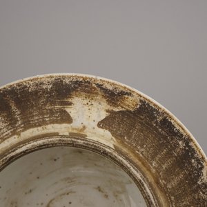 A Chinese porcelain polychrome jar and cover with a cockerel, 19th C. — 照片 9
