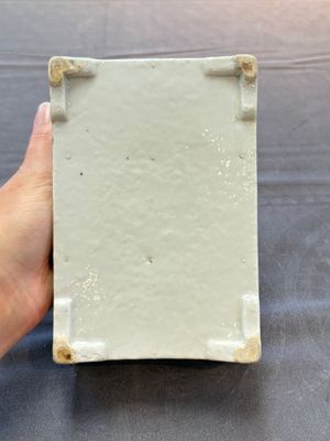 A Chinese qianjiang cai rectangular jardinière, signed Zhang Yun 張雲, dated 1925 — photo 8