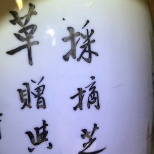 A Chinese qianjiang cai vase with the immortal Lan Caihe, 19th C. — 照片 19