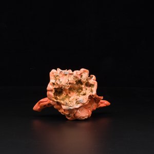 A Chinese red coral figure of a laughing Buddha on wooden stand, 19/20th C. — 照片 6